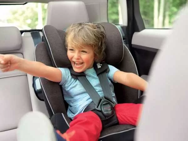 Seat Belt Webbing